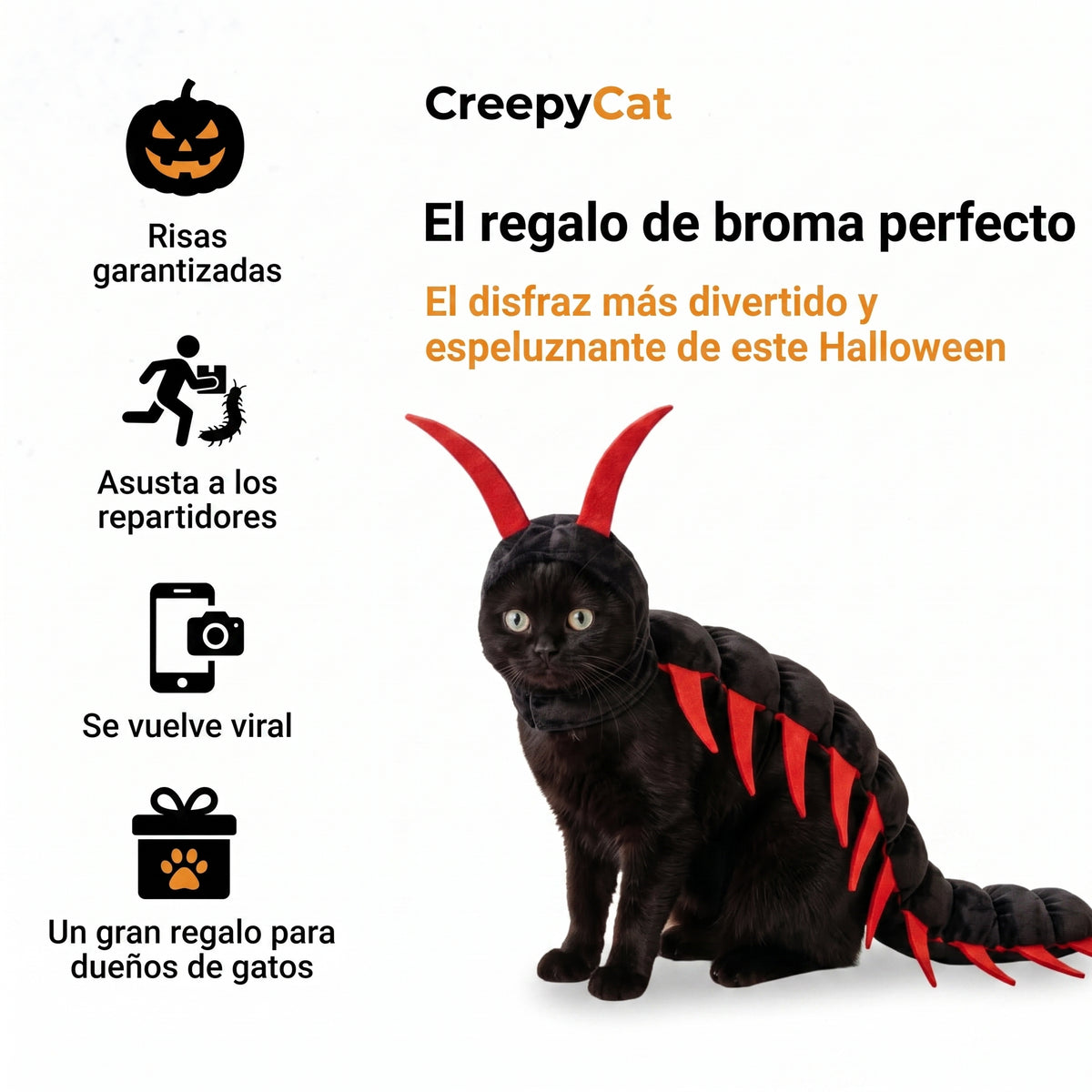 Peluche de Ciempiés Ajustable para Gatos